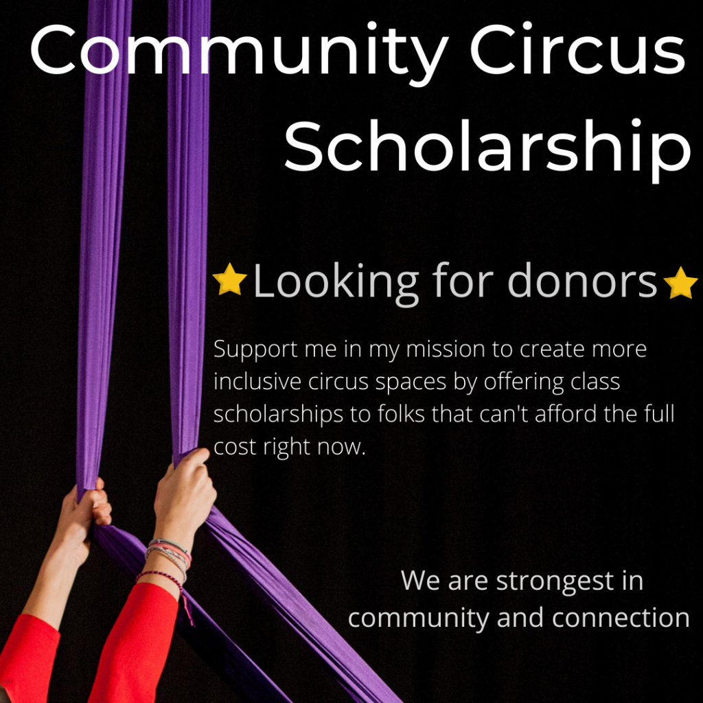 Poster with white hands hanging off of purple aerial fabric. Text in image reads "Community Circus Scholarship. *looking for donors* Support me in my mission to create more inclusive circus spaces by offering class scholarships to folks that can't afford the full cost right now. We are strongest in community and connection."